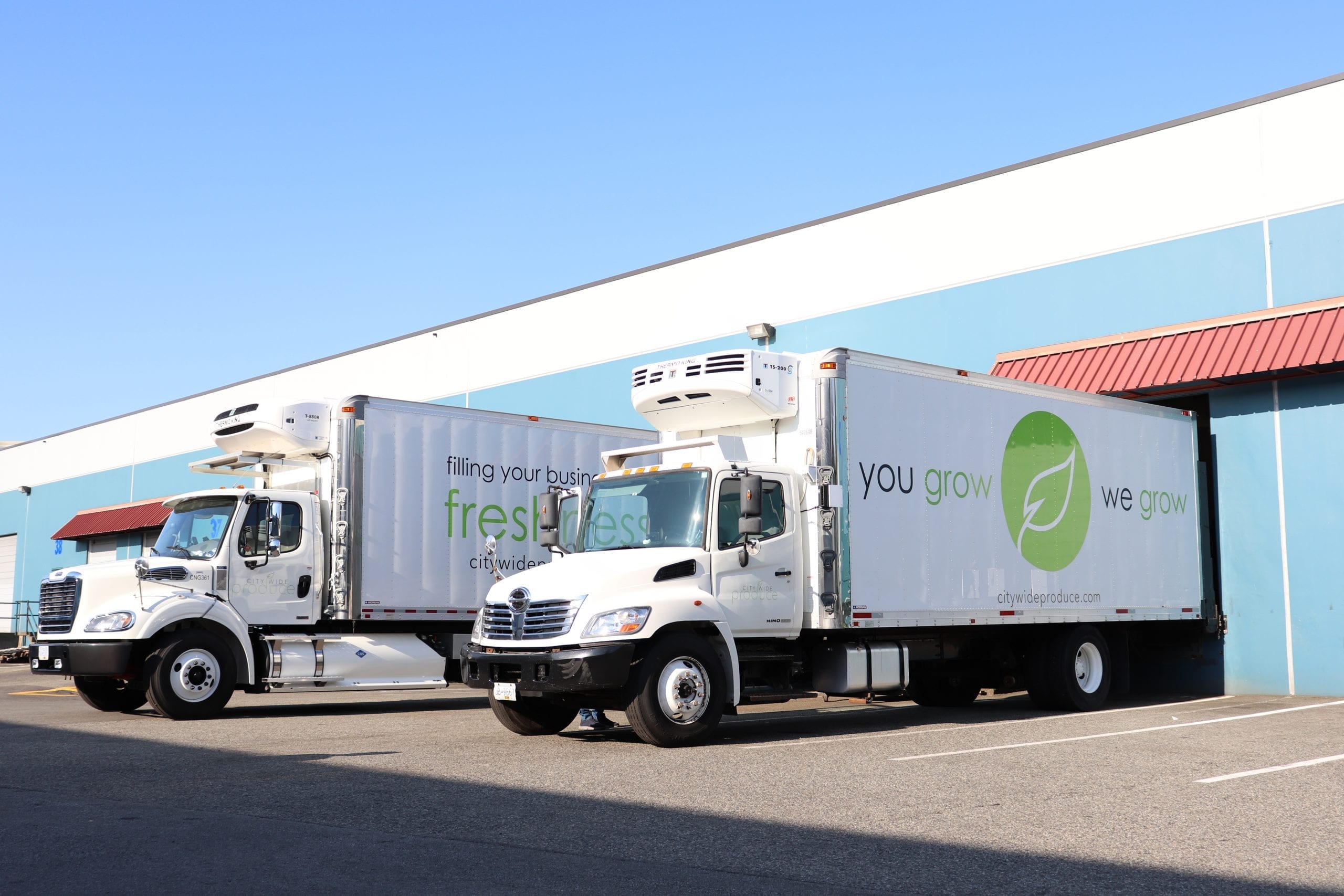 You grow we grow fresh produce