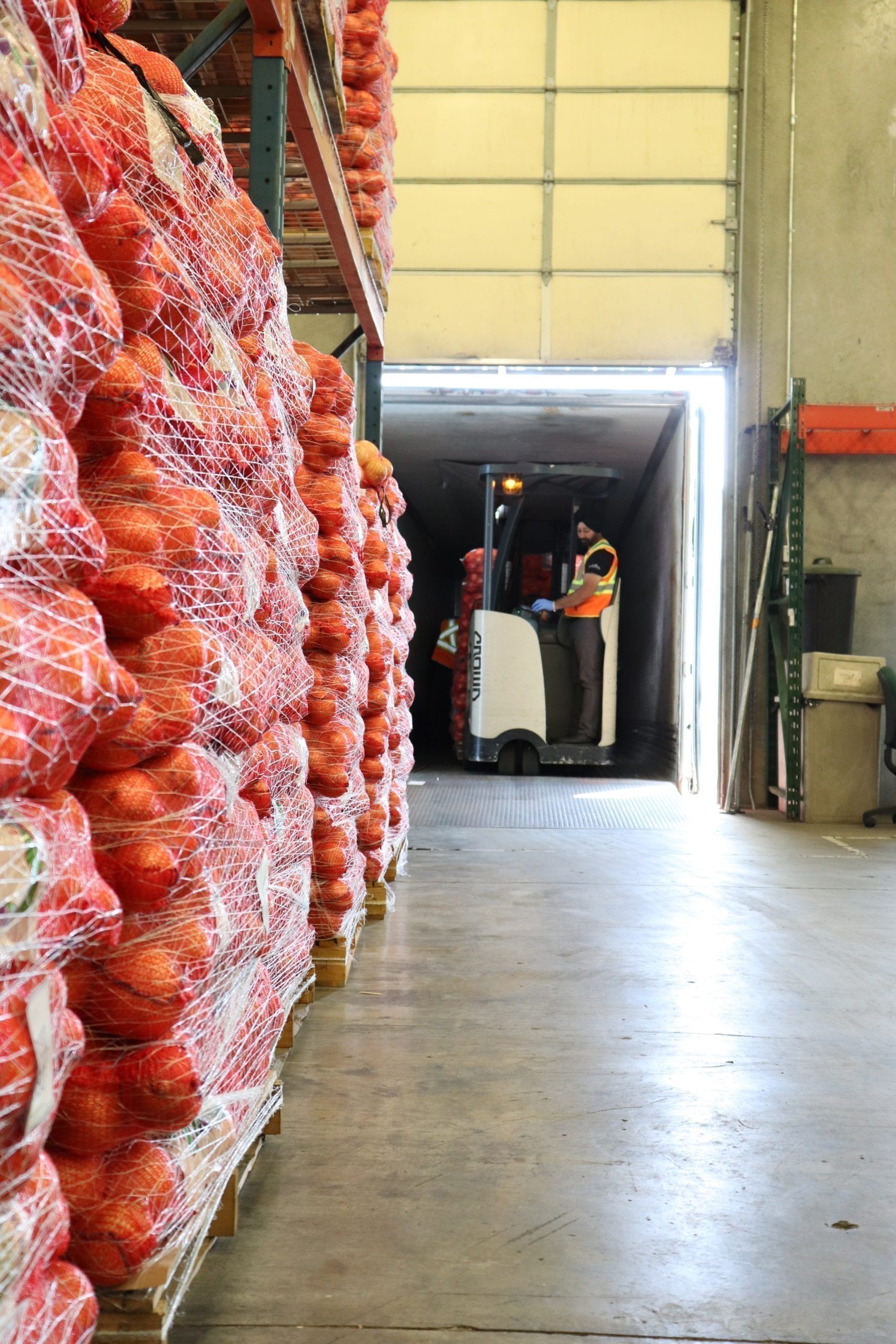 onion wholesaler
