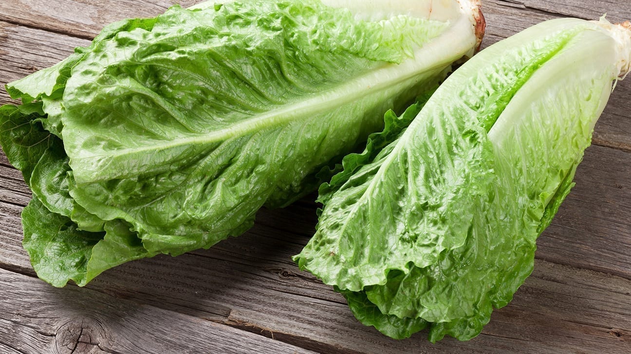 romaine-lettuce-1296x728-body