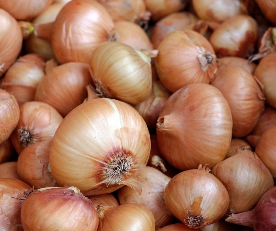 2021 washington onions