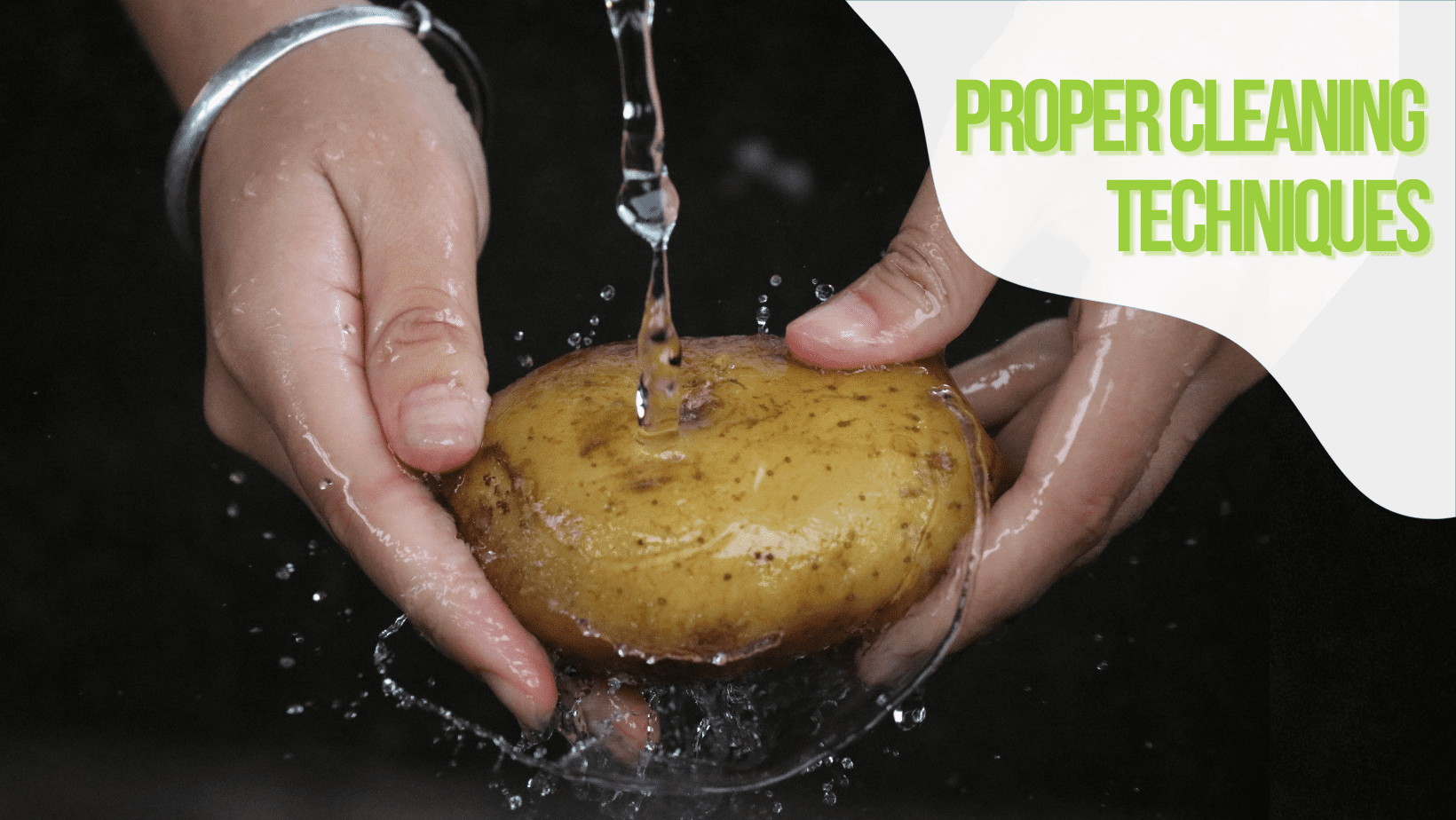 The Ultimate Guide to Potatoes City Wide Produce