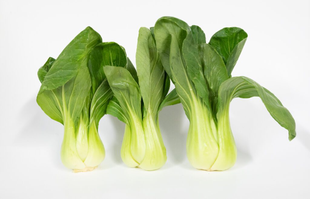grocery produce wholesale bulk