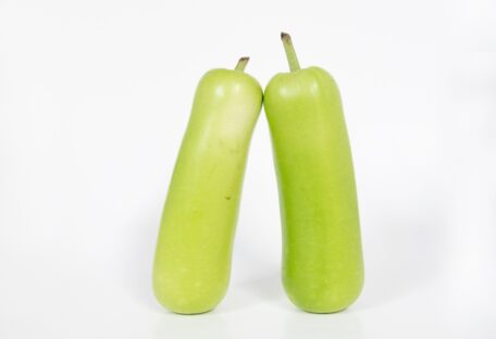 OPO SQUASH City Wide Produce opo-squash-city-wide-produce