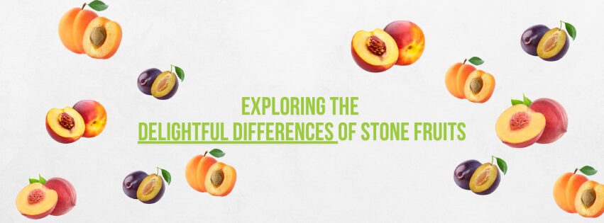 Exploring the Delightful Differences of Stone Fruits | City Wide Produce