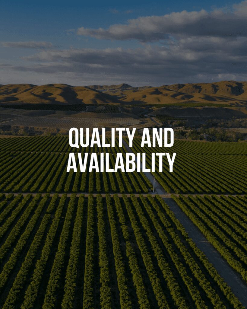 Quality & Availability of Produce for Oct 2025